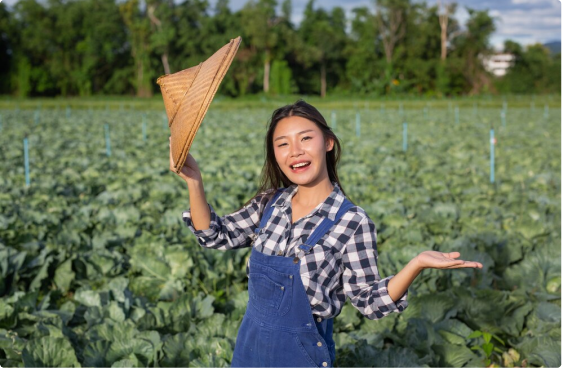 NÔNG NGHIỆP VIỆT THẮNG- THIẾT KẾ BỞI MR TÀI: 0789711496